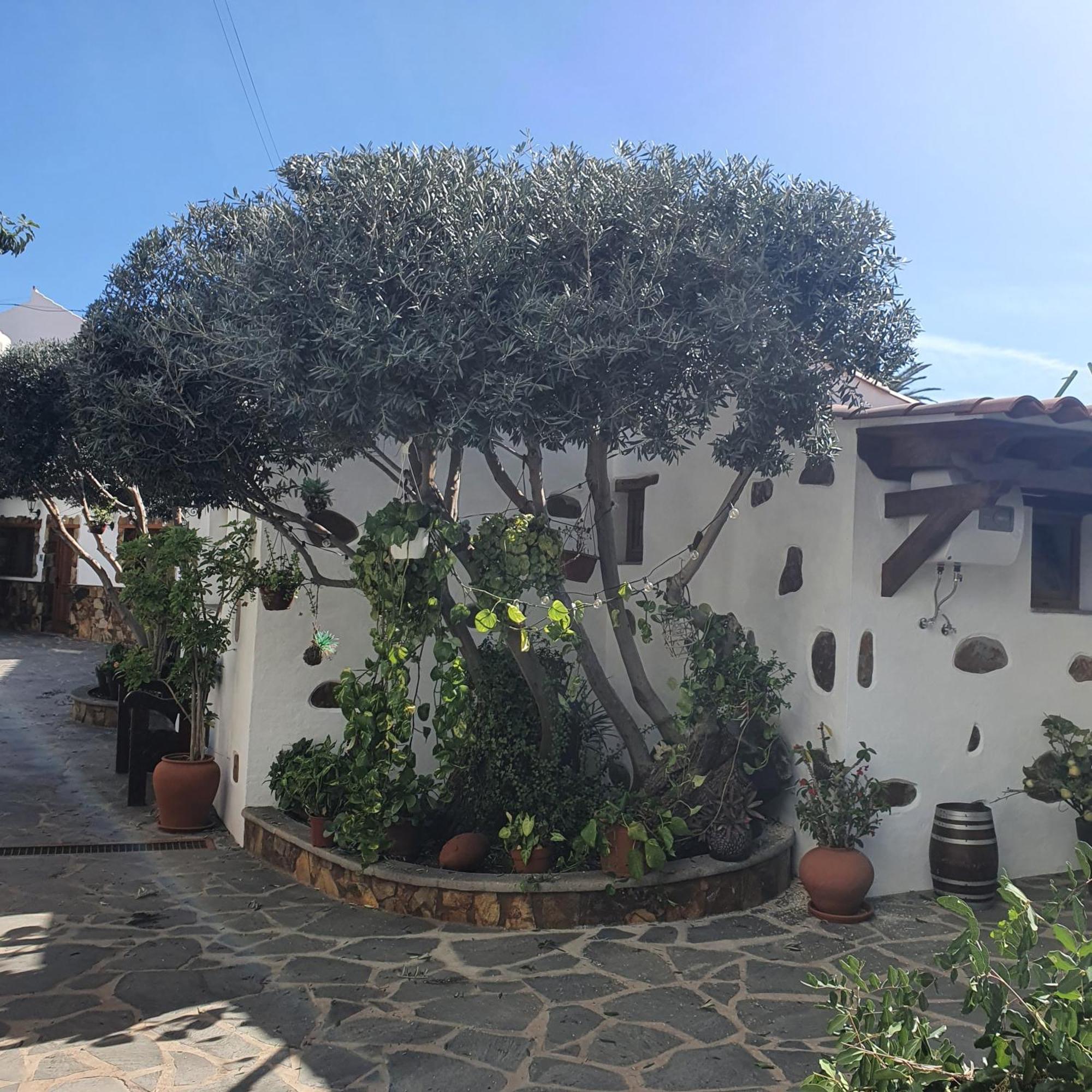 La Gallania De Papa Pepe Santa Lucia De Tirajana Экстерьер фото